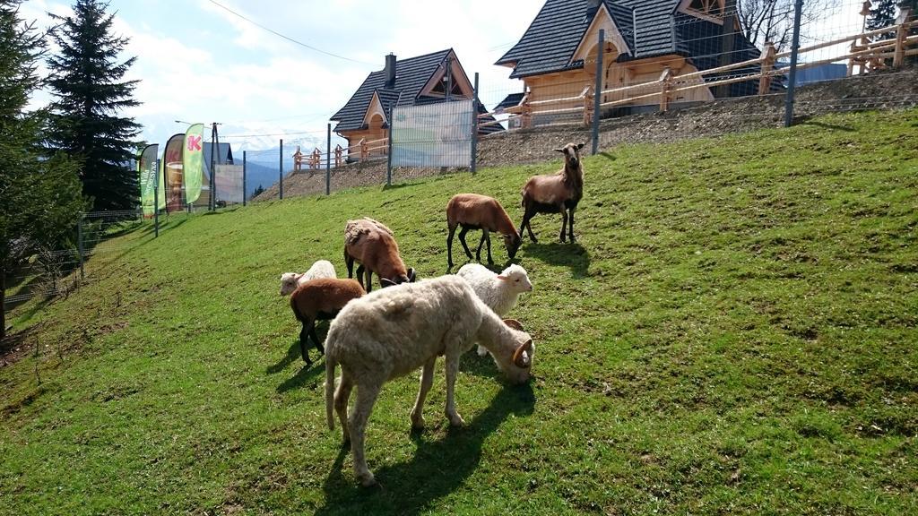 Willa Skorusyna Bed & Breakfast Gliczarów Eksteriør bilde