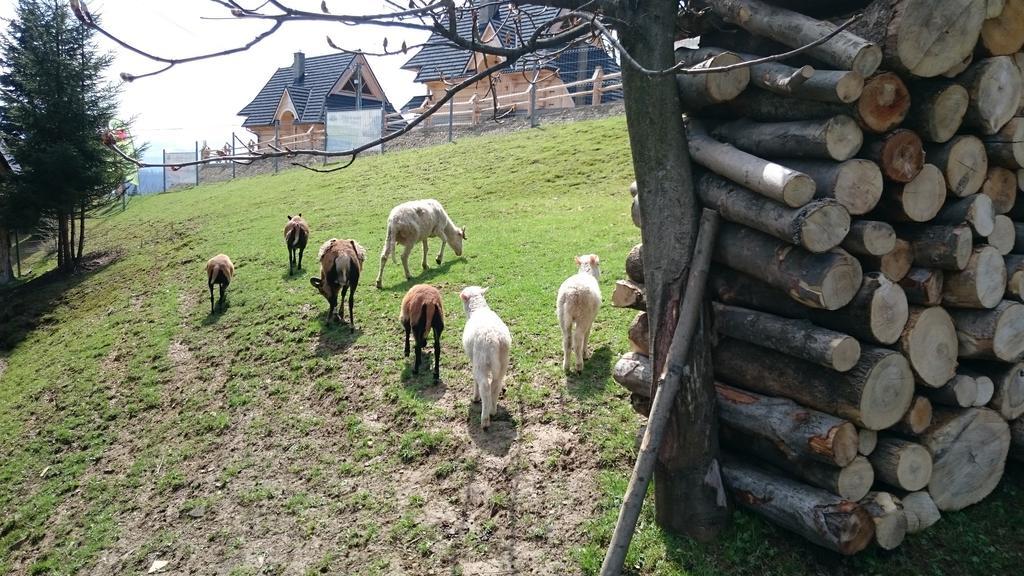 Willa Skorusyna Bed & Breakfast Gliczarów Eksteriør bilde