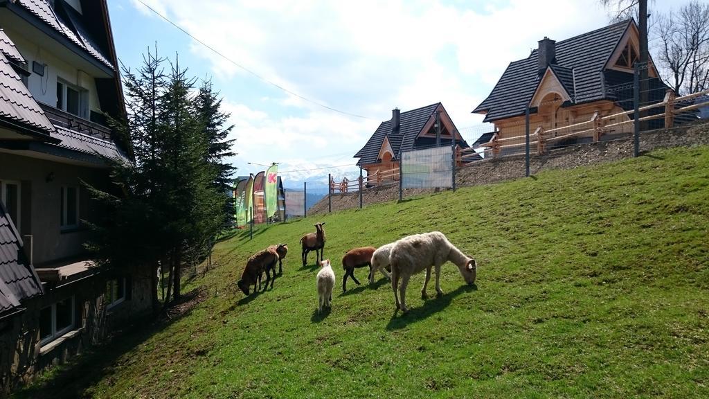 Willa Skorusyna Bed & Breakfast Gliczarów Eksteriør bilde